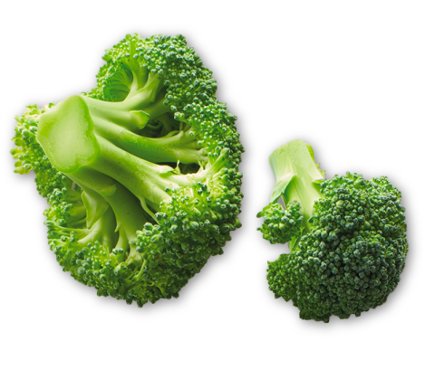 Brokkoli